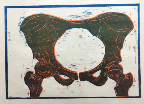 A relief print of the bones of the pelvis, printed in dark blue. "chatter lines" where ink from the background of the block has accidentally transferred to the paper makes the print look lively. 