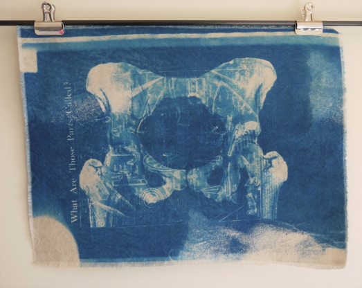 A piece of fabric clipped to a dowel, fixed to a wall. The fabric has an x-ray of my pelvis in shades of pale blue and white, on a dark blue background. Partially visible in the pale areas of the pelvis are thin line drawn diagrams of old farming machinery, and on the left side, running at ninety degrees to the pelvis is "what are those parts called?"